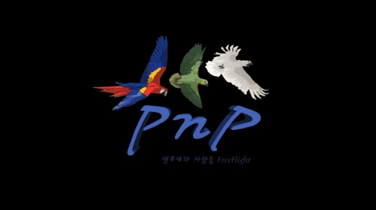  앵무새 자유비행팀 PnP [TJB 펫트라슈 출연]