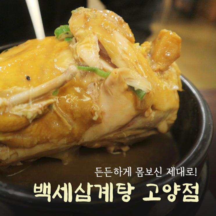 [일산 맛집] 든든하게 몸보신 제대로 '백세삼계탕 고양점'