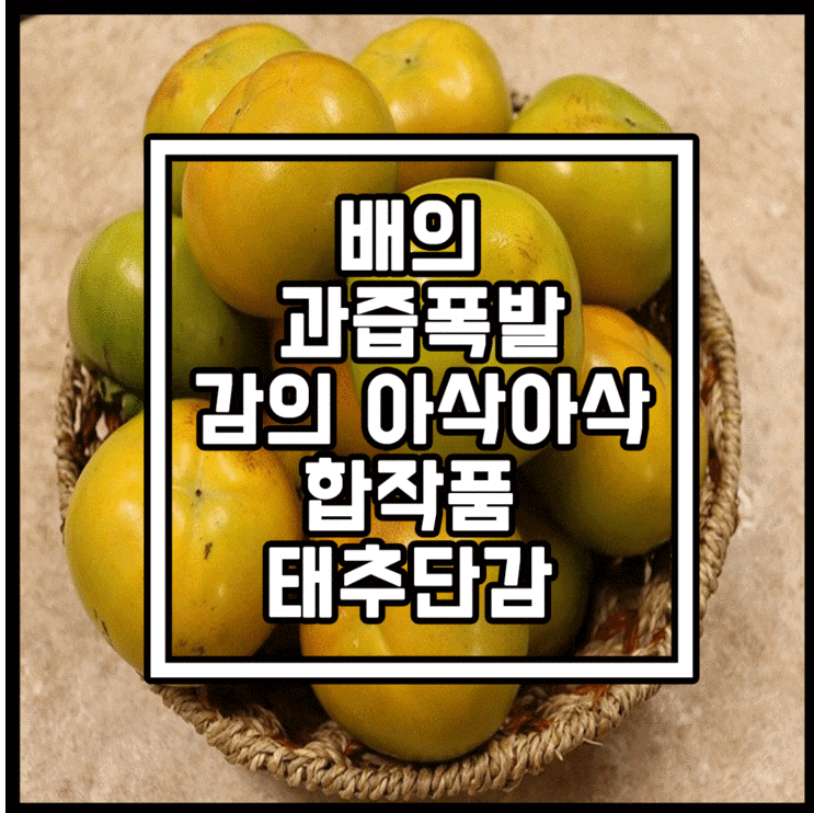 배처럼 과즙폭발 단감처럼 아삭한 태추단감