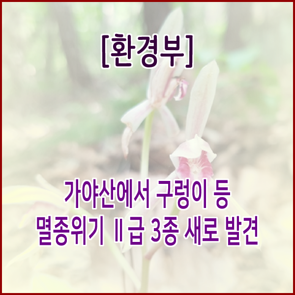  [환경부] 가야산에서 구렁이 등 멸종위기 Ⅱ급 3종 새로 발견