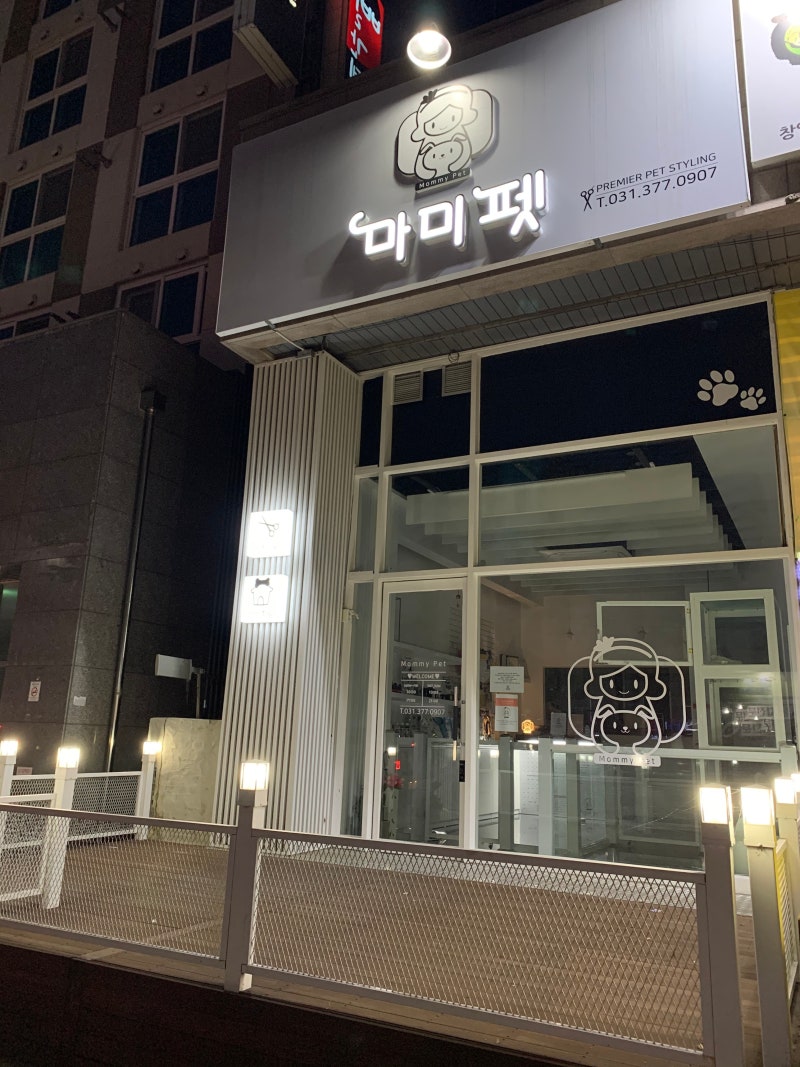 사진 4