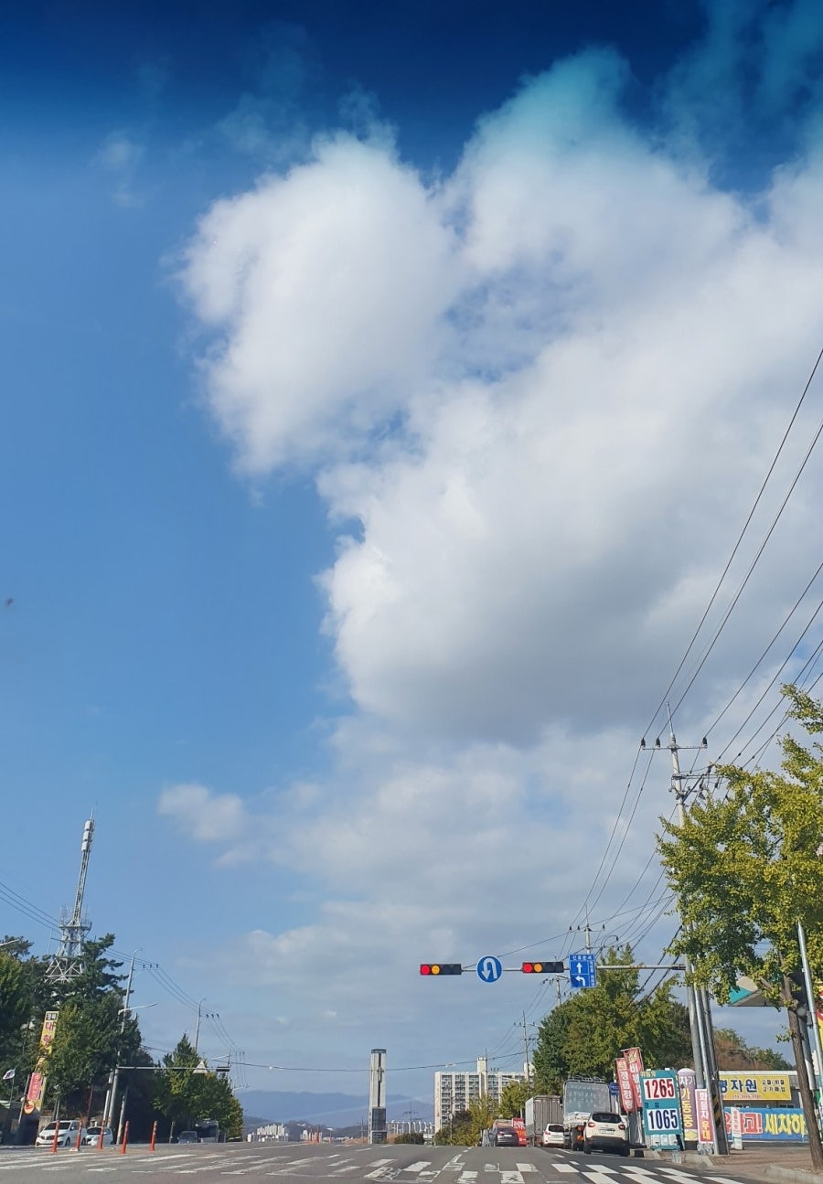 커피왕 진량점 사진 2