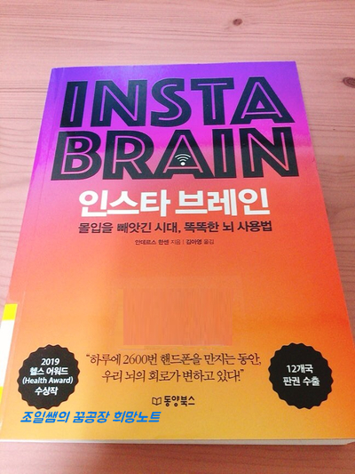 인스타 브레인 : 스마트폰에 빠진 뇌를 건강하게 하려면?