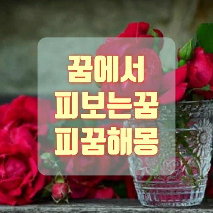  꿈에서 피 보는 꿈 생리하는 꿈해몽