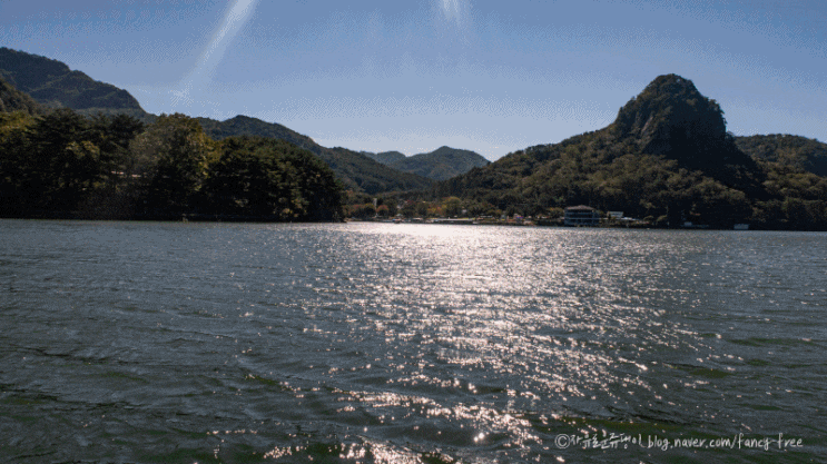  [포천 가볼만한 곳] 가을 출사지 포천 산정호수 댑싸리, 억새밭 + 오리보트 후기