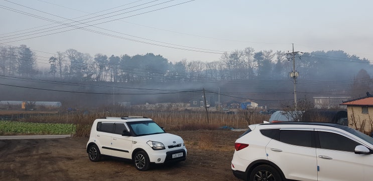 경기도 일동면 사직리 형님댁 밭 방문기