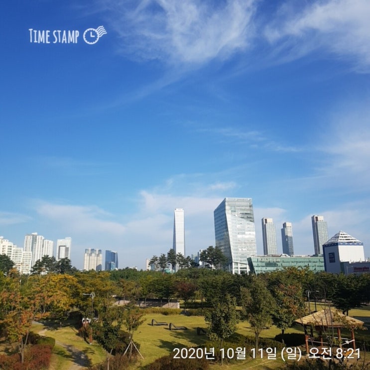  [송도 부자아빠 미친 100일 - 44일차] 부자의 정원