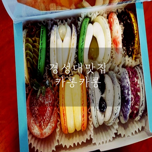  경성대마카롱 경성대마카롱맛집 카롱카롱