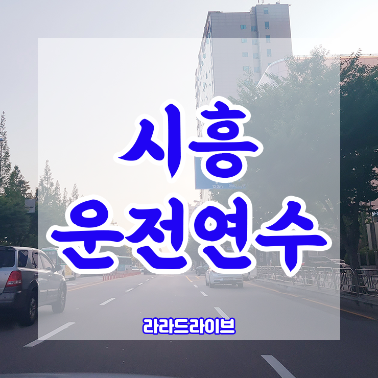 시흥운전연수 헤매지 않고