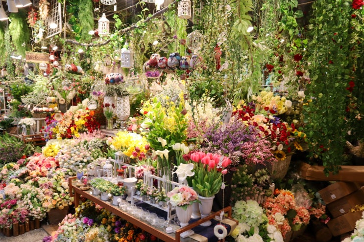 [범일동] 부산에 이쁜 꽃들은 여기여기 다 모여라 : 자유 꽃시장 방문 후기