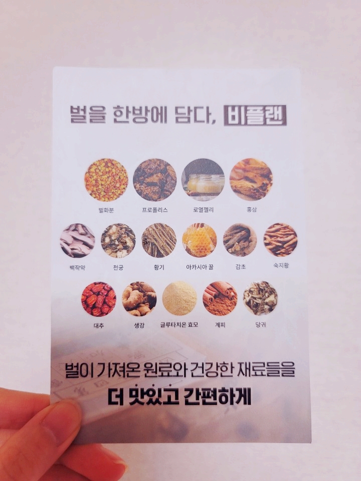 먹는 화분 벌화분 비플랜 1일1포 맛있다