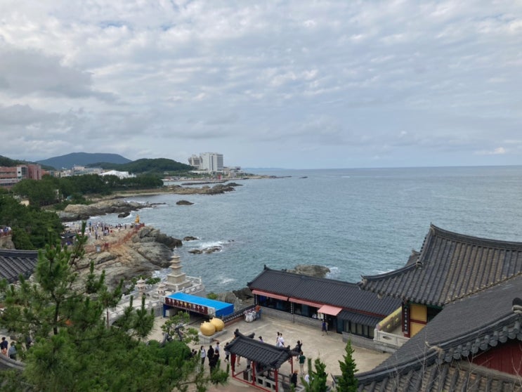  해동용궁사 바다경치가 좋은 절 아이와함께 부산 기장