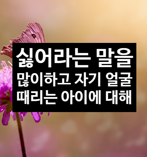  싫어라는 말을 많이 하고 자기 얼굴을 때리는 아이