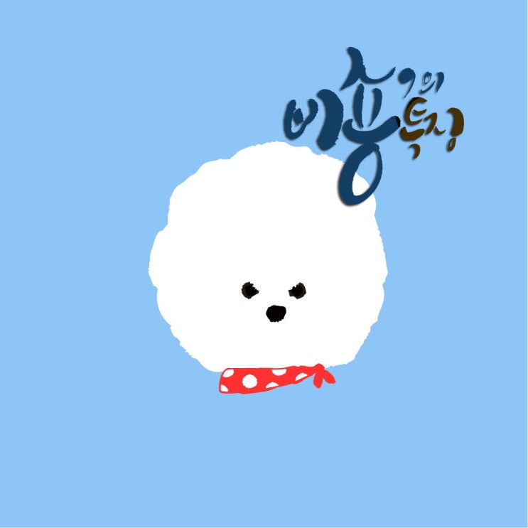  비숑의 특징