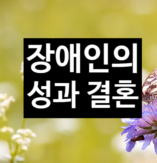  장애인의 성생활과 결혼