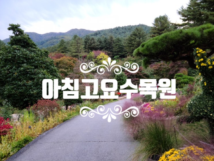  가평수목원 아침고요수목원 경기도 가볼만한곳