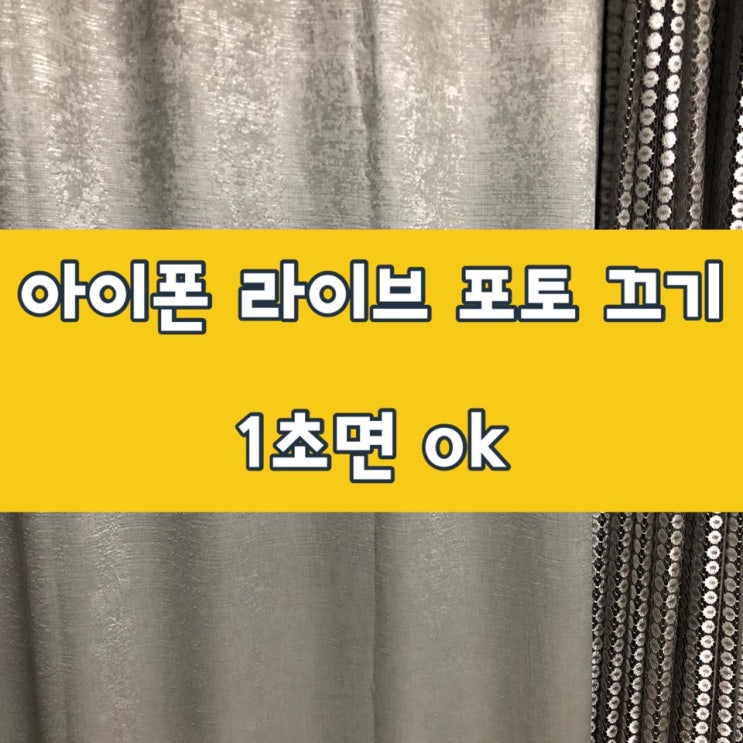  아이폰 라이브포토 끄기 or 켰을 때 장점