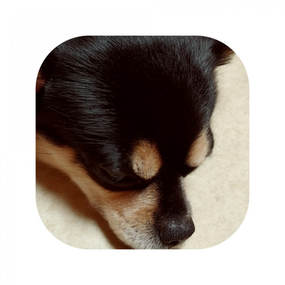  까칠모드!!