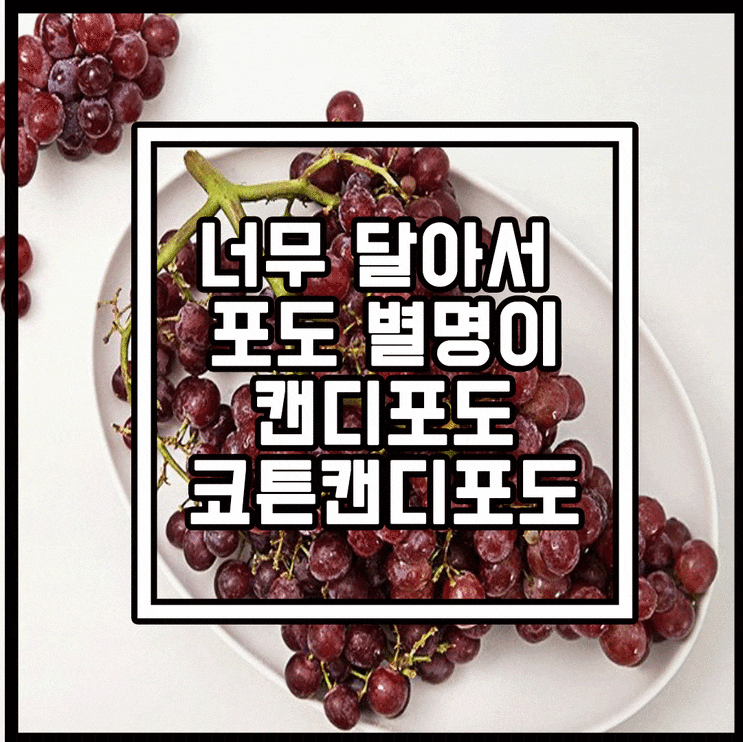  너무 달아서 별명이 캔디포도  코튼캔디포도 라고 불러요.