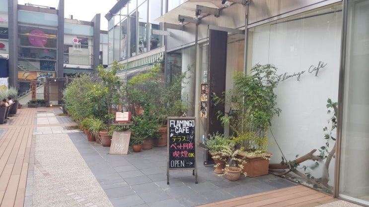  일본생활] 아오야마 키츠네카페 / 플라밍고카페 フラミンゴカフェ・グラッセリア青山店