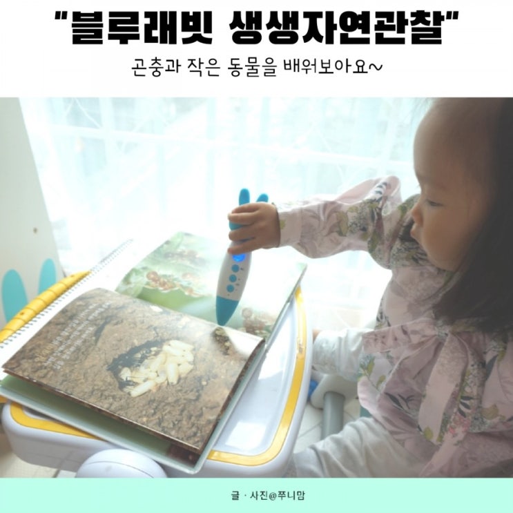  블루래빗 자연관찰 작은 곤충 개미를 알아 가요.