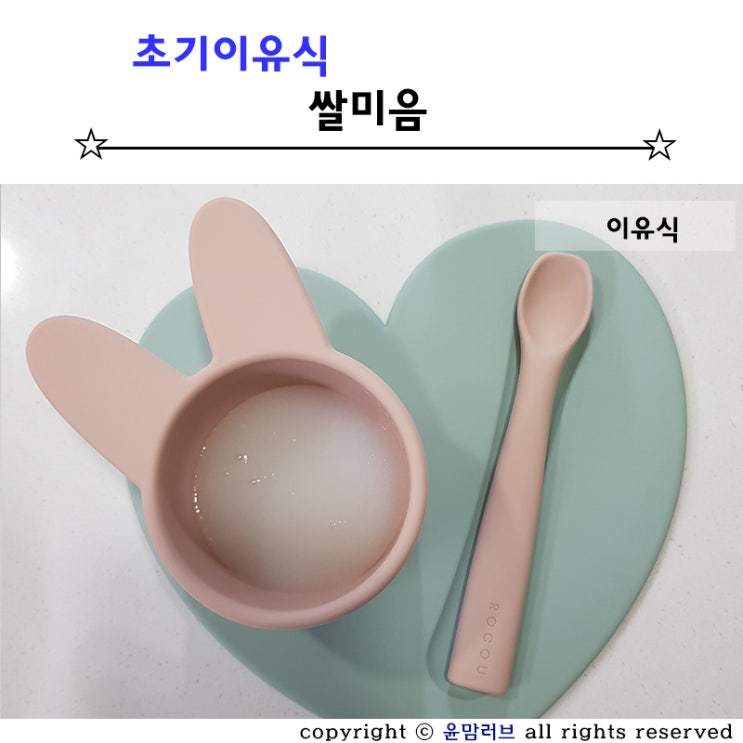  초기 이유식 쌀미음 쌀가루로 만들기
