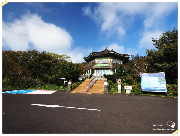  제주도 여행 한라산 천백고지(1100) 2일차~