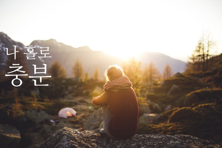  1초만에 집이 뚝딱! 가성비 짱 그라비티 텐트 araboja