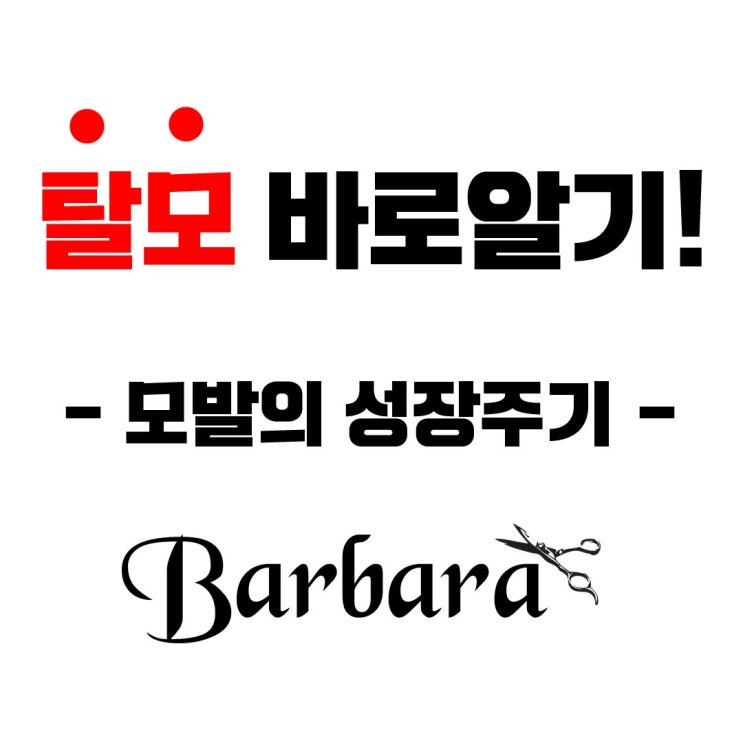  탈모 바로 알기!! 모발의 성장 주기