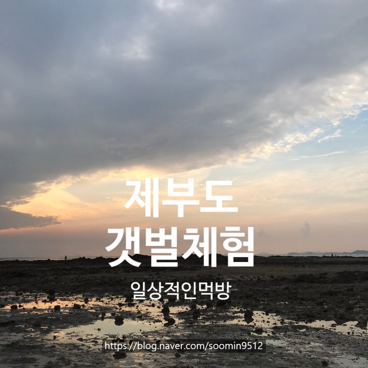  제부도 갯벌체험 조개는 사먹는걸 추천해요  (장화,장비대여)
