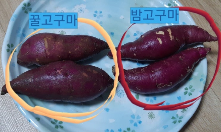  고구마는 쪄서먹기도 하고 삶아서 먹기도 하죠!