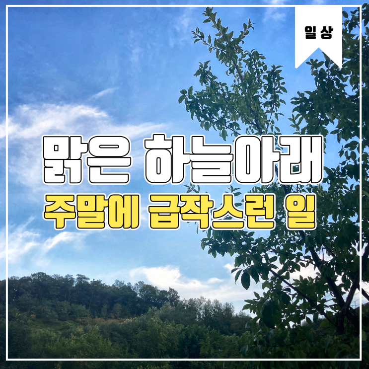  [일상] 황금백수를 꿈꾸며 일하는 주말. Feat. 회 먹부림