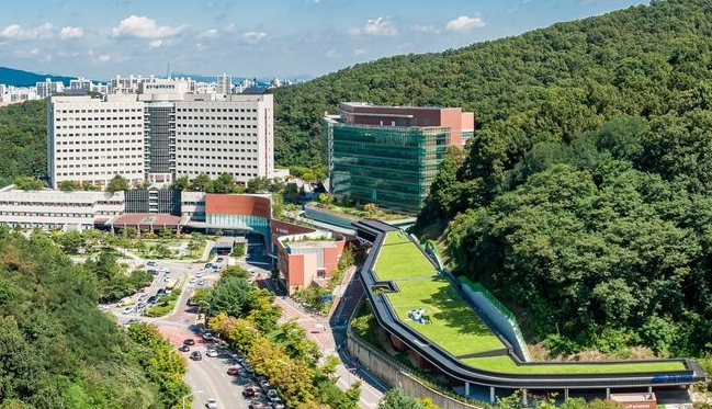  서울대 분당병원 갑상선암 정기검진 방문