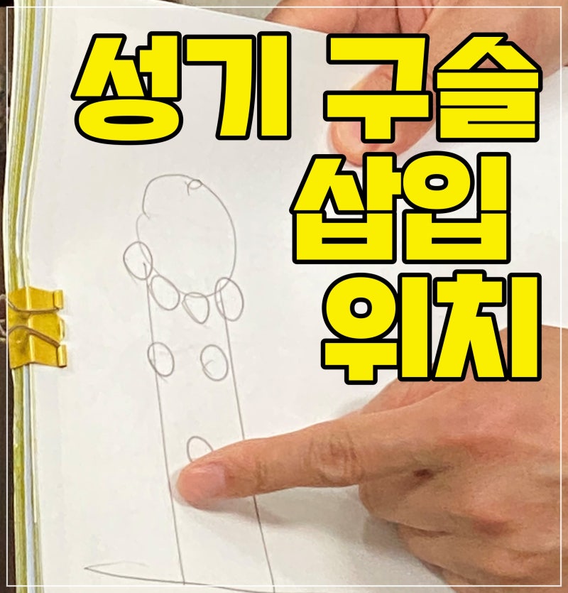 성기 구슬 몇 개, 어디에 많이 삽입하는지? : 네이버 블로그 성기 구슬 몇 개, 어디에 많이 삽입하는지? : 네이버 블로그