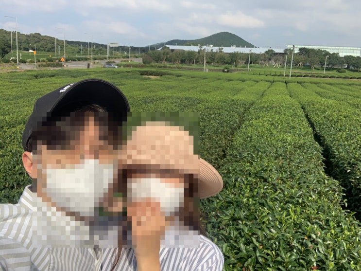 제주 여행 - 오설록 방문기 제주 여행 - 오설록 방문기