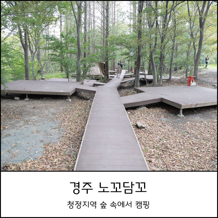  경주 캠핑장 노꼬담꼬 조경이 아름다운 자연속에서 언택트여행 (feat.첨성대 핑크뮬리)