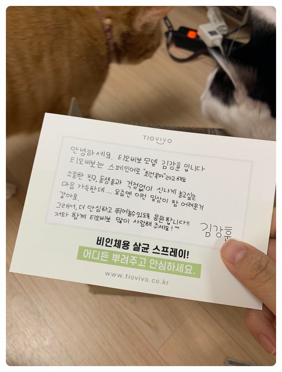김강훈 티오비보  슈퍼 히어로 살균 스프레이 무향 무색 무해 사용후기 