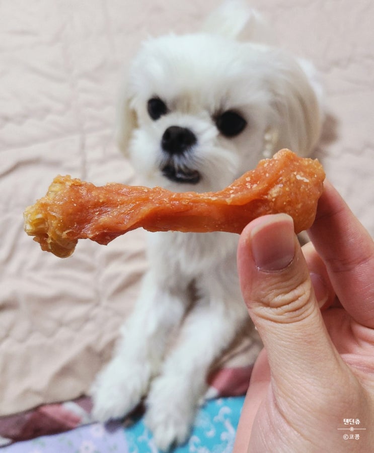  [내 돈 내산] 쿠팡에서 구매한 헬로도기 강아지 참 좋은 간식 텐던츄 본 S
