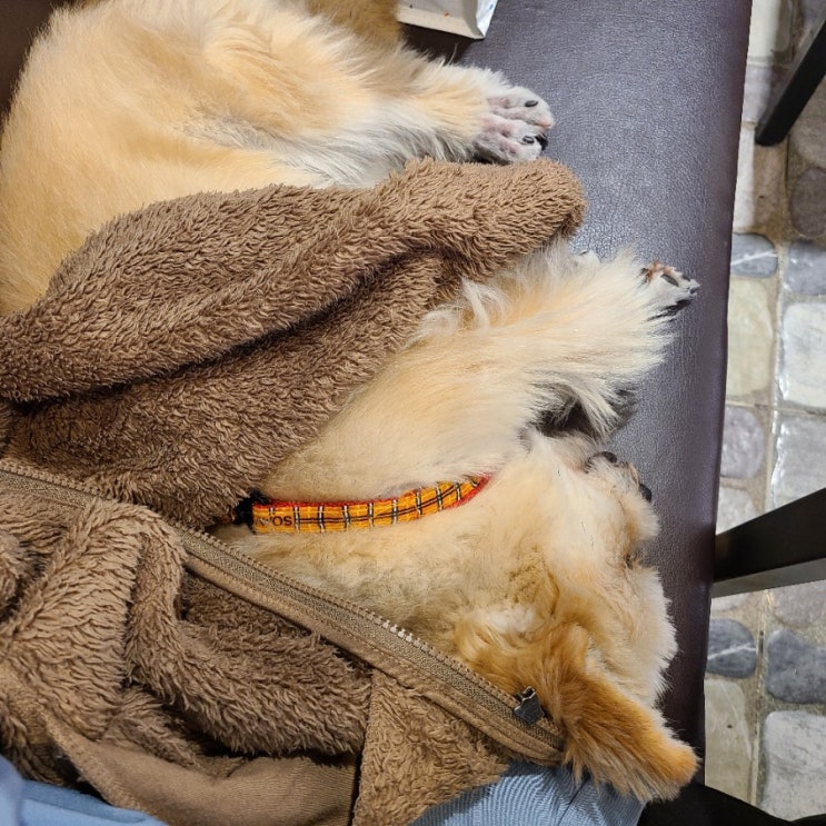  今天的日记