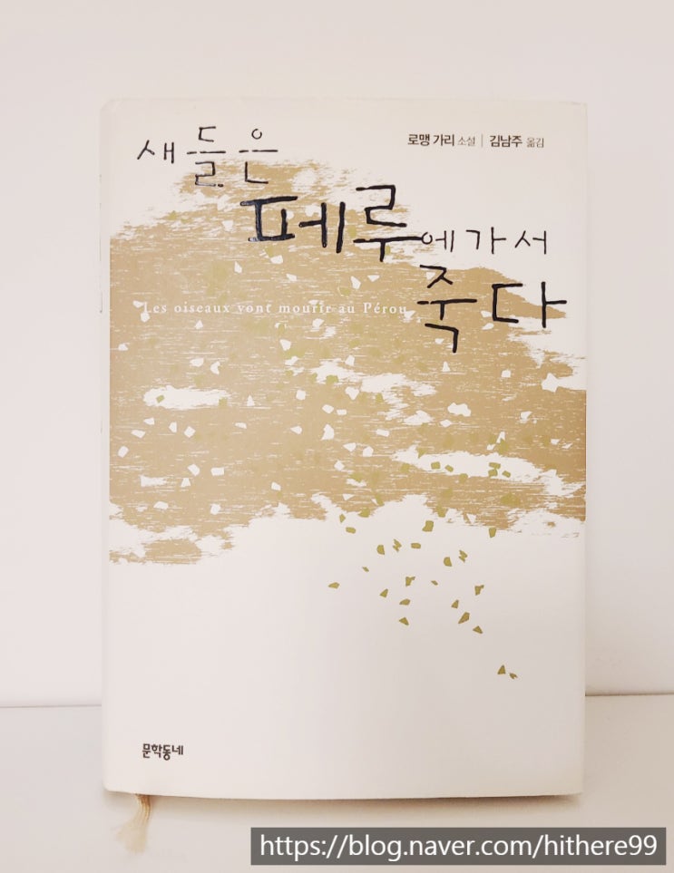  인간에 대한 긴 여운_새들은 페루에 가서 죽다