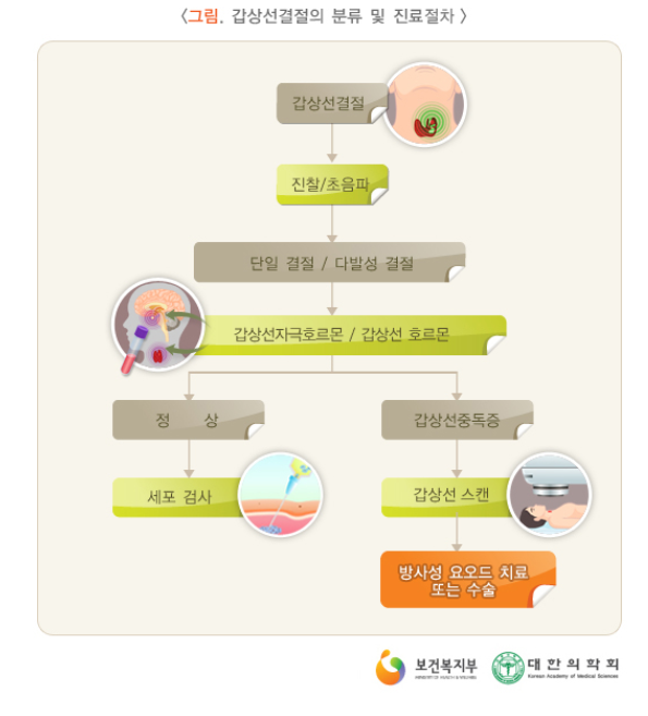 갑상선 결절 조직 검사 땀 뻘뻘 처음 용기내 받은 하루