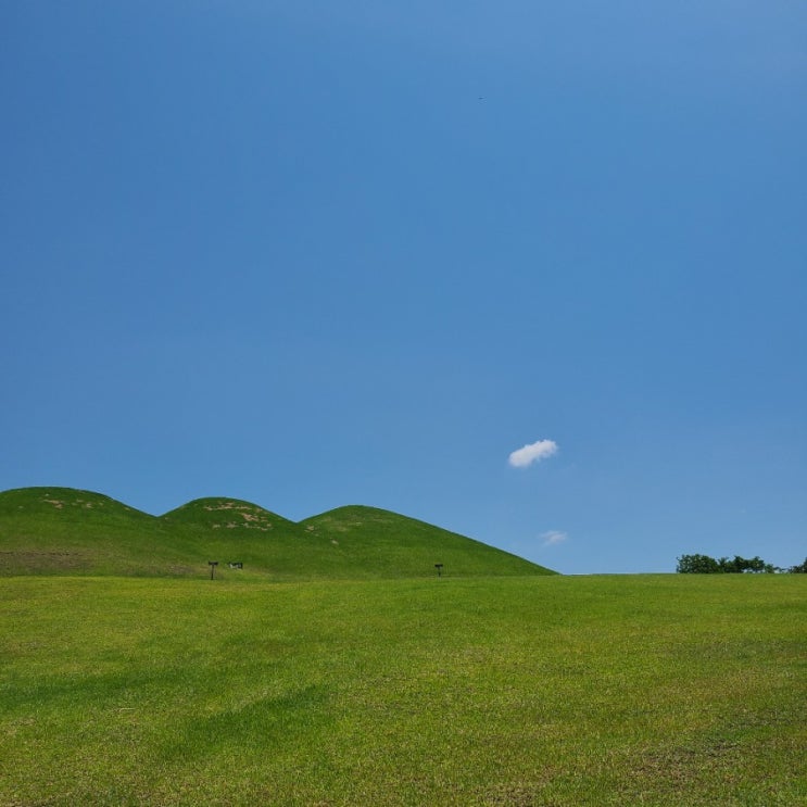  <경남여행> 경남 가볼만한곳 ; 고성 송학동 고분군