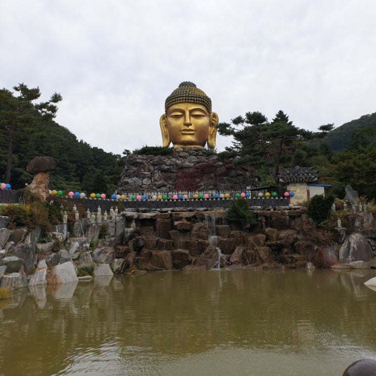  드라이브코스 용인 와우정사