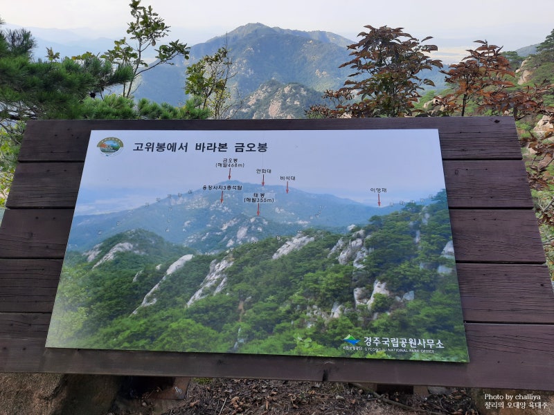 경주 남산 고위봉(고위산) 용장골~이무기능선 등산코스 : 네이버 블로그