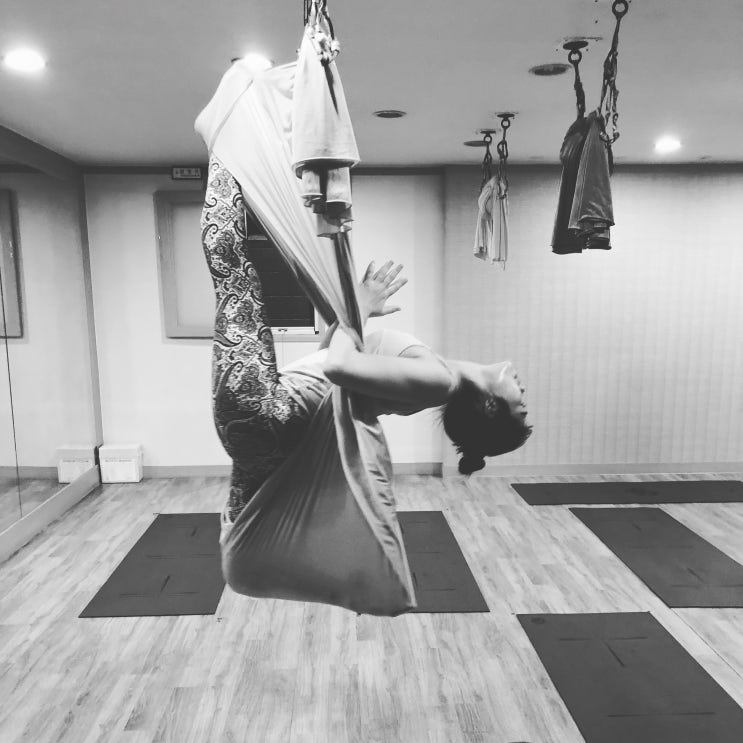  [인계동 플라잉요가] 수리야요가에서 플라잉