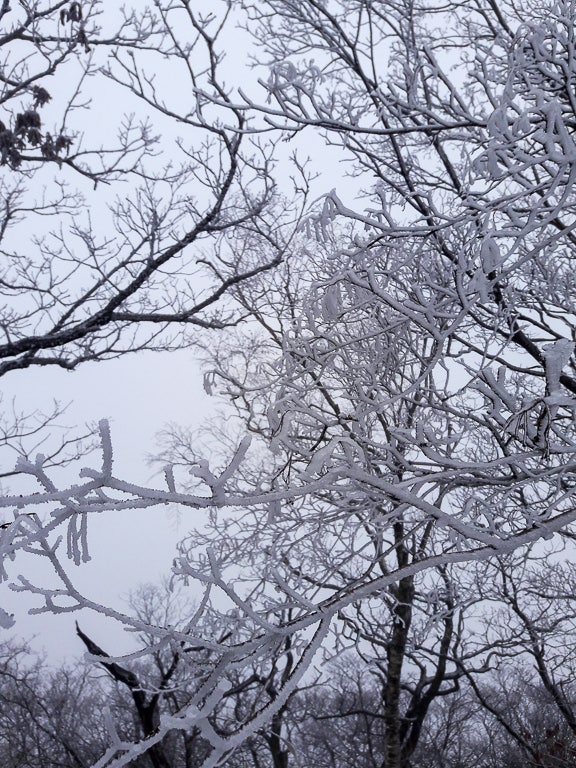 골안골 사진 7