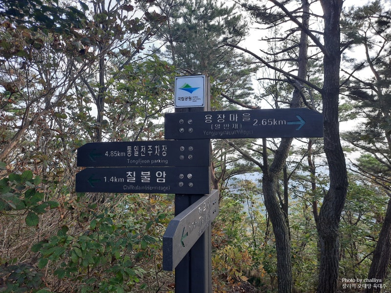 경주 남산 고위봉(고위산) 용장골~이무기능선 등산코스 : 네이버 블로그