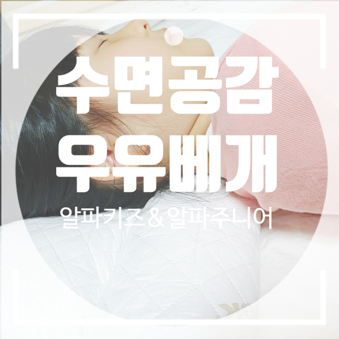 초등학생 베개 수면공감 알파 주니어목베개 초등학생 베개 수면공감 알파 주니어목베개