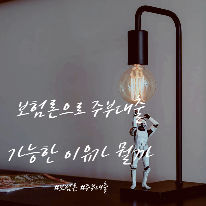 보험론으로 주부대출이 실행 가능한 이유는? 보험론으로 주부대출이 실행 가능한 이유는?