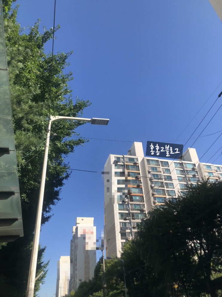  2020.09.18(1) : 첫 출장, 벽초지 수목원, 순두부 찌게, DNZ lounge, 나인블럭, 파주 프로방스 마을, 파주 가볼만한 곳, 파주 맛집, 파주 카페 추천